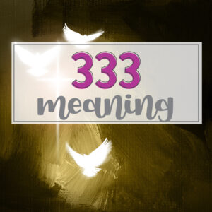 333-angel-number-meaning-main