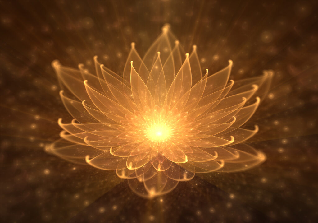 lotus-subconsious-mind-bloom