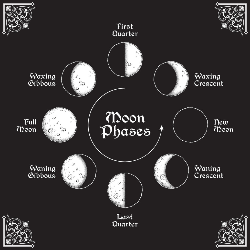 8-moon-phases