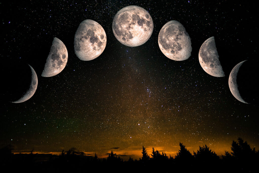 Phases of the Moon: waxing crescent, first quarter, waxing gibbous, full moon, waning gibbous, third guarter, waning crescent. Forest landscape with stars.